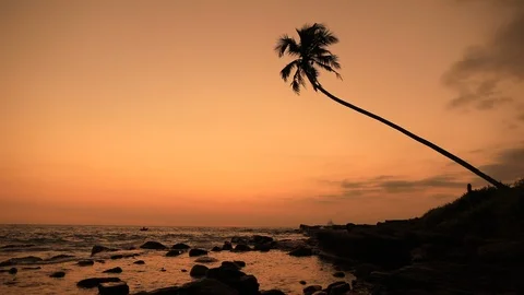 Sandy beach with palm trees at sunset Vidéo 106803524
