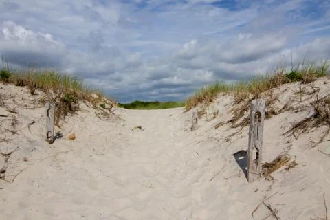 Sandy beach path. Stock Photos