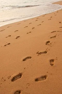 Sandy beach Stock Photos