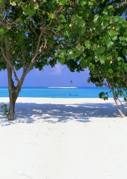 Sandy Beach Stock Photos