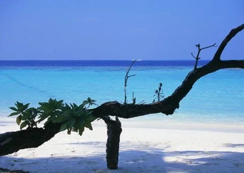 Sandy Beach Stock Photos