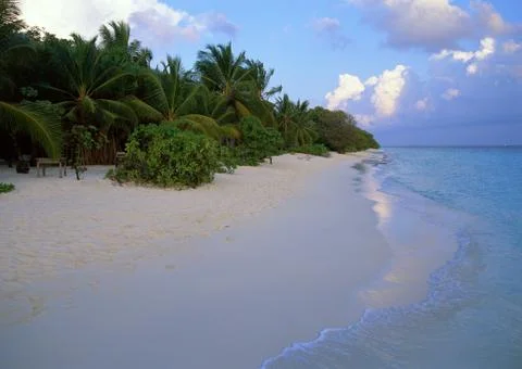Sandy Beach Stock Photos