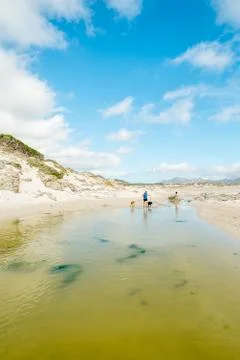 Sandy beach Stock Photos