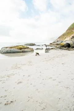 Sandy beach Stock Photos