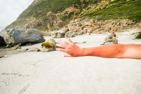 Sandy beach Stock Photos