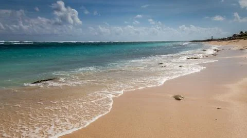 Sandy beach 库存照片