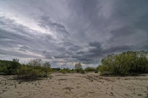 Sandy beach Stock Photos