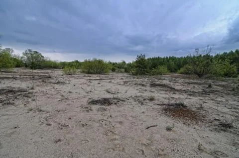 Sandy beach Stock Photos