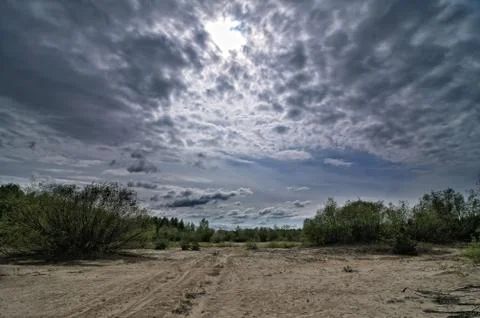 Sandy beach Stock Photos