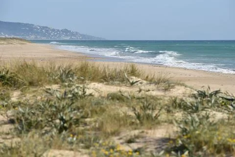 Sandy beach Stock Photos
