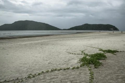 Sandy beach Stock Photos
