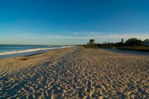 Sandy beach Фото