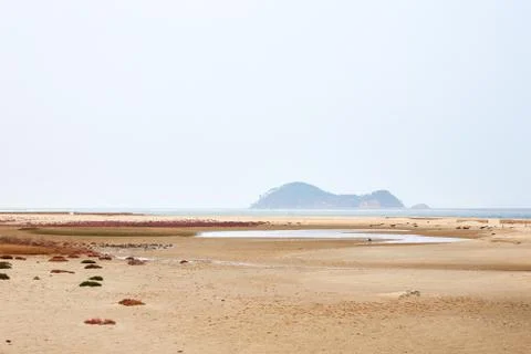 Sandy beach Foto stock