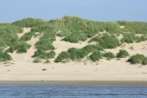 Sandy beach Stock Photos