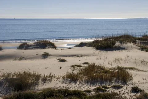 Sandy beach Stock Photos