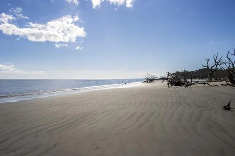 Sandy beach Stock Photos