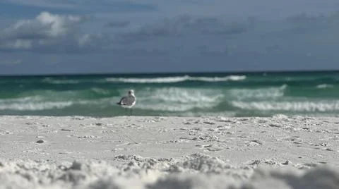 Sandy beach Foto stock