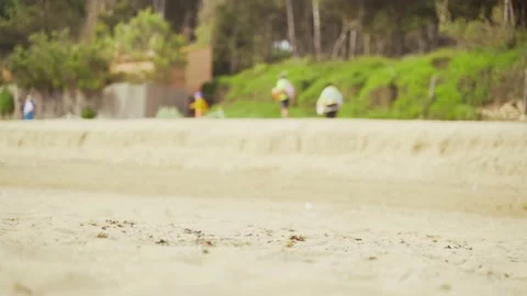 On the sandy beach in a pine bay. In the background, people are relaxing on the Stockbeeldmateriaal 132967573
