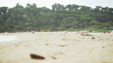On the sandy beach in a pine bay. White foam waves. In the background, people Video stock 133326453