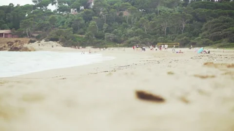 On the sandy beach in a pine bay. White foam waves. In the background, people Stock Footage 133562906
