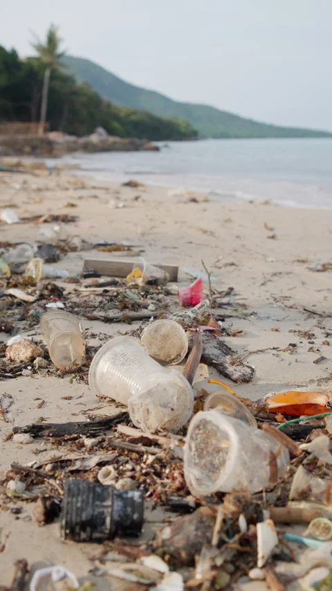 Sandy beach polluted by accumulated plastic bottles and other debris 動画素材 344605096