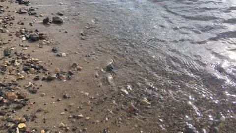 Sandy beach of the river or sea. Transparent water surface Stock Footage 156380901
