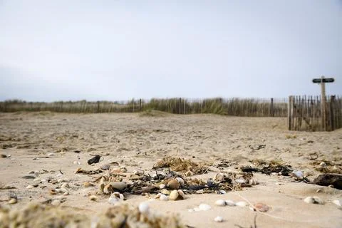 Sandy beach scene from worm's eye view Foto stock
