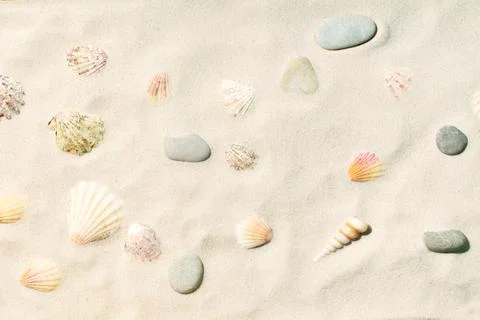 Sandy beach with sea shells and pebbles 写真素材