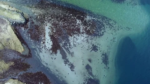 Sandy beach seen from above Stock Footage 78614093