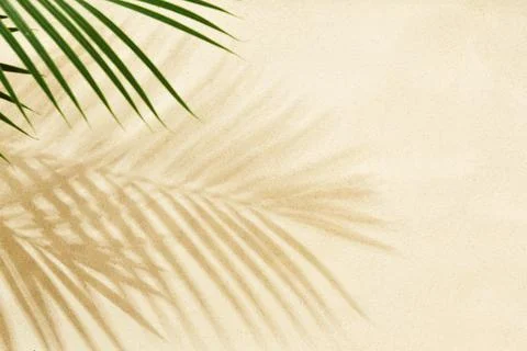 Sandy beach with shadow of palm leaves - background Stock Photos