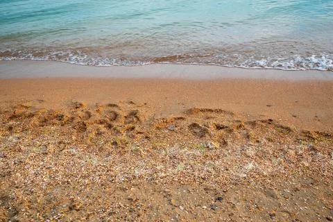 Sandy beach with shells and turquoise sea Foto stock
