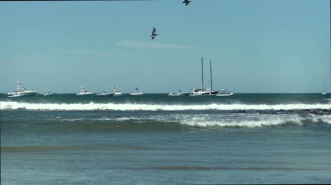 Sandy beach shoreline windy beach conditions boats pelicans fly over wave Stock Footage 61927989