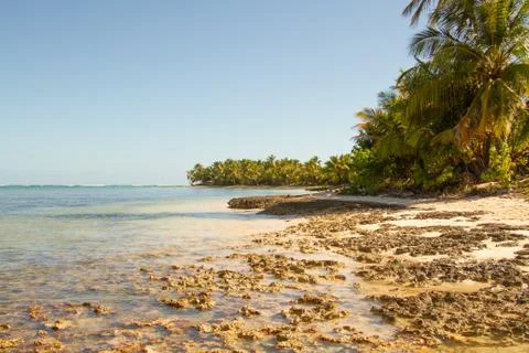 Sandy beach with small rock formations and palm trees Stock Photos