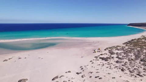 Sandy Beach with Sparse Vegetation Stock Footage 312666025
