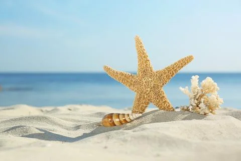 Sandy beach with starfish, shell and coral near sea on sunny summer day. Spac Foto stock