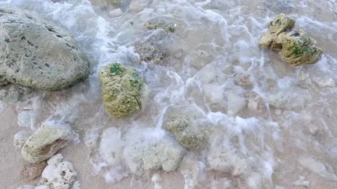 Sandy Beach Stones and Waves Stock Footage 237561059