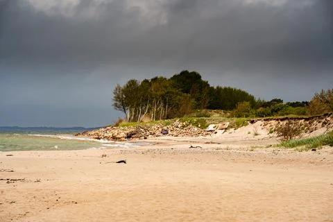 Sandy beach in summer with forest Stock Photos