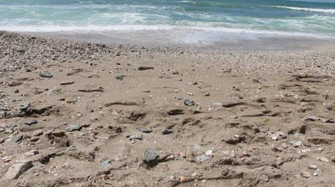 Sandy beach at sunny day Stock Footage 22778622