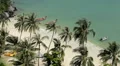Sandy Beach, Sunny Day Tropical Paradise, Aerial View, Exotic Island, Thailand HD Footage