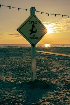 Sandy beach with sunset in the background and an informative shark warning si Stock Photos