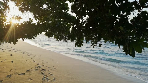 Sandy beach sunset, Maldives Stock Footage 94954872