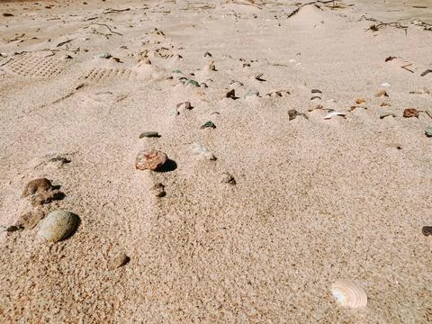Sandy Beach Texture with Pebbles and Shells Close-Up 스톡 사진