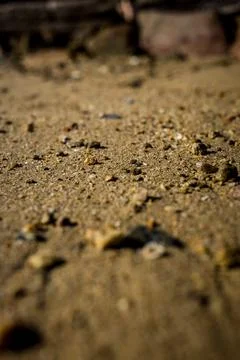 Sandy beach texture pebbles shell closeup view Stock Photos