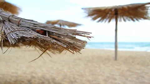 Sandy Beach With Thatched Umbrellas On A Windy Day Video stock 72559313