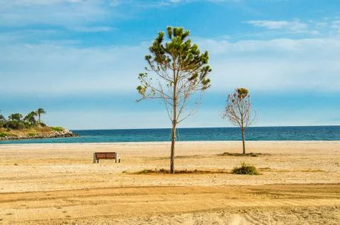 Sandy beach with trees and bench on shore of gulf in Athens, Greece Foto stock