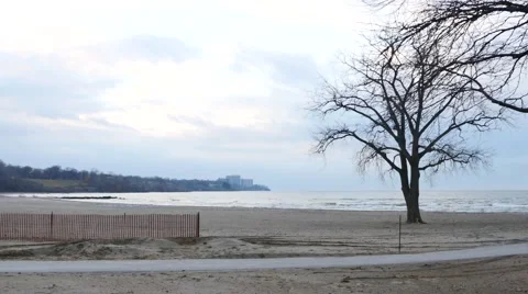 Sandy beach with trees Stock-Footage 57874212