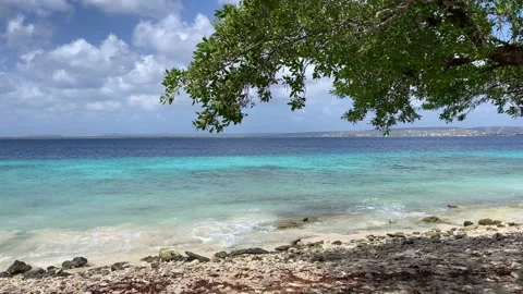 Sandy beach with turquoise water. View through tree branch to the sea. Stock Footage 164729763