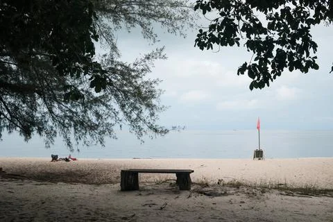 Sandy beach under overhanging tree branches Stock Photos