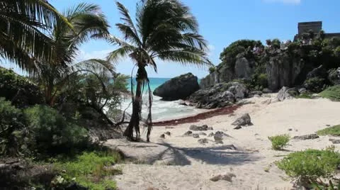 Sandy Beach w/ Palm tree, Ocean, and MayanTemple Video stock 10899745