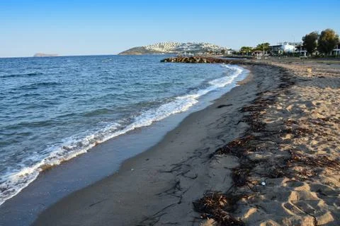 A sandy beach with washed algae in Turkey Stock Photos